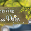 Driving Miss Daisy Contest