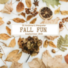 Fall Fun Workshops